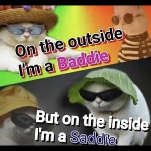 Meet your Posher, Lizette